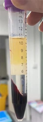 微信圖片_20210710141857.jpg 微信圖片_20210710141857.jpg